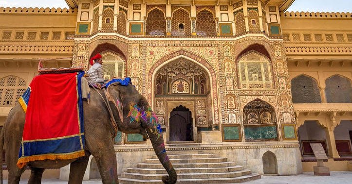 Jaipur Elephant Ride, Jaipur, Rajasthan - Vushii.com Jaipur Elephant Ride, Jaipur, Rajasthan - Vushii.com